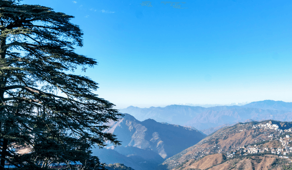 Exploring Theog From Kufri: A Perfect Day Trip Experience