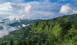 Fagu Valley: A Hidden Gem Near Kufri, Shimla