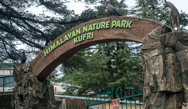 Himalayan Nature Park: A Complete Guide to Kufri’s Wildlife Escape