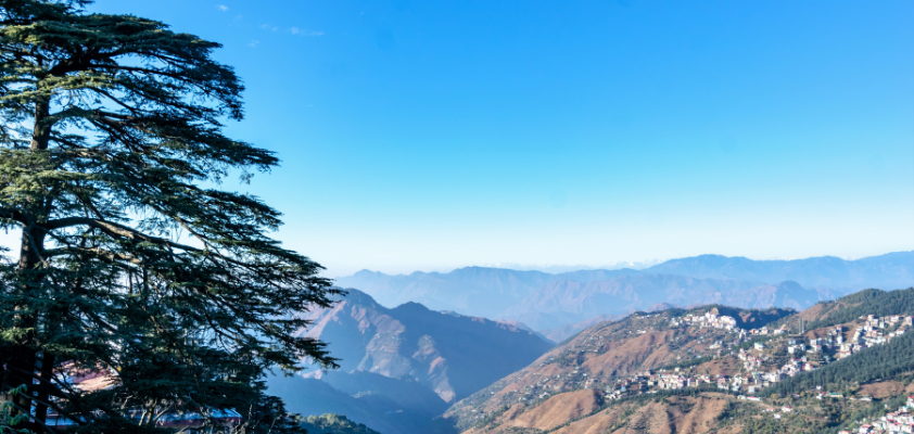 Himalayan Nature Park