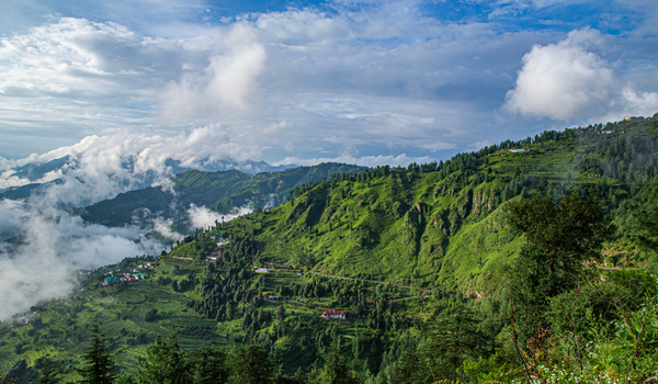 Himalayan Nature Park