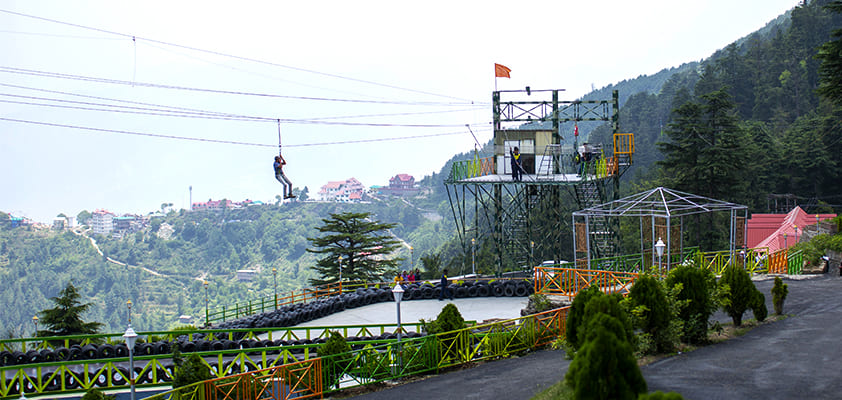 Zipline Image